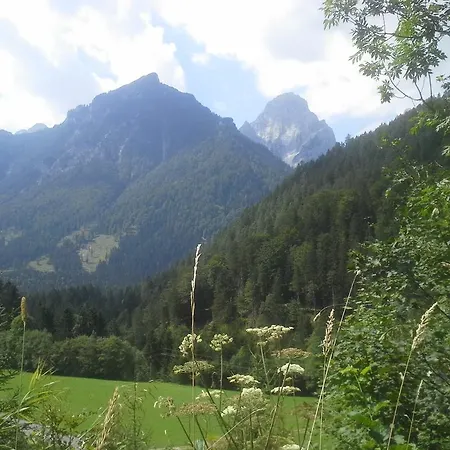 Waldhaus Διαμέρισμα *