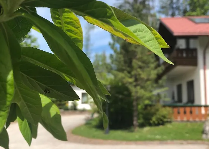 Waldhaus Hinterstoder