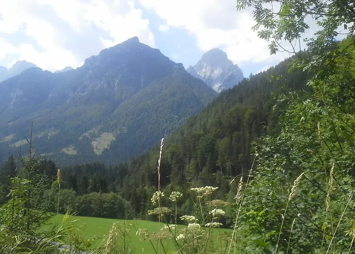 Waldhaus Apartment *