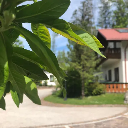 Waldhaus Hinterstoder